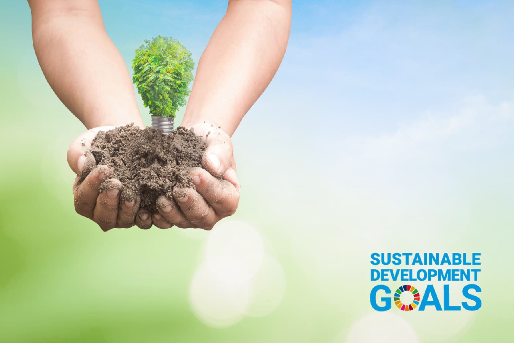 服育_将来を担う子供たちへ